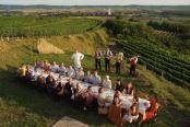 Tafeln im Weinviertel